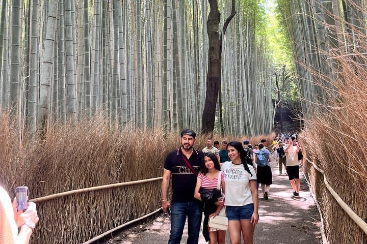 Private Kyoto Tour: Explore the Most Iconic Sights — photo 13