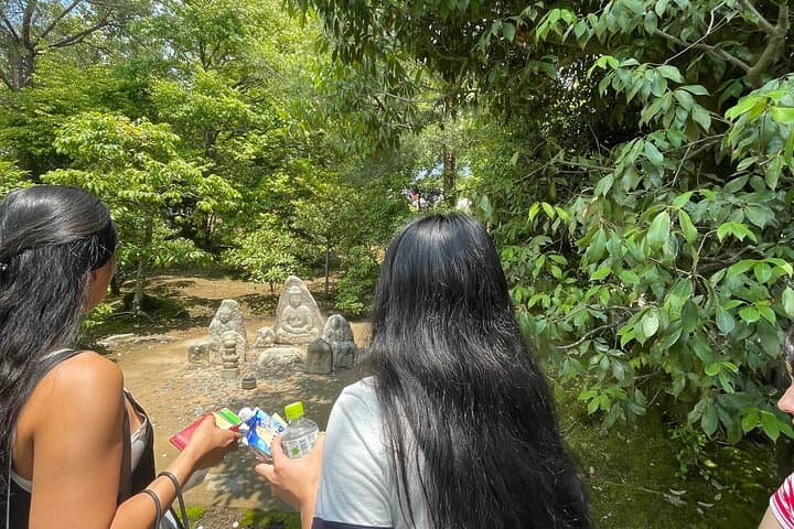 Private Kyoto Tour: Explore the Most Iconic Sights — photo 15