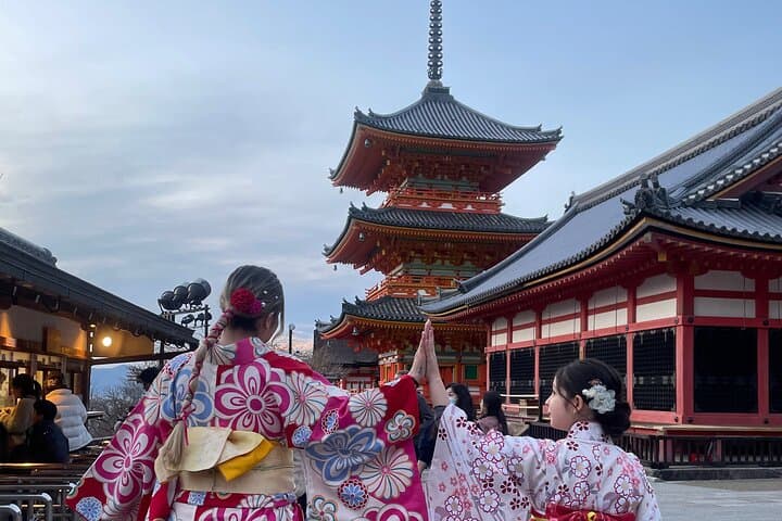 Private Kyoto Tour: Explore the Most Iconic Sights — photo 20