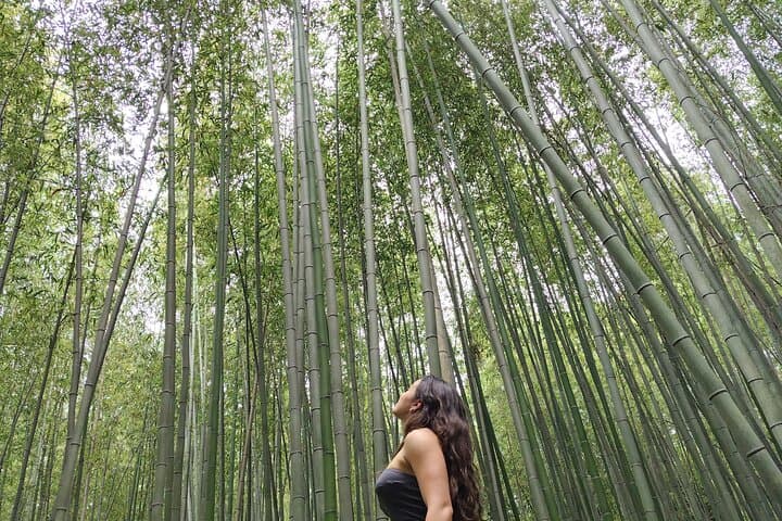 Private Customized Walking Tour in Kyoto — photo 2