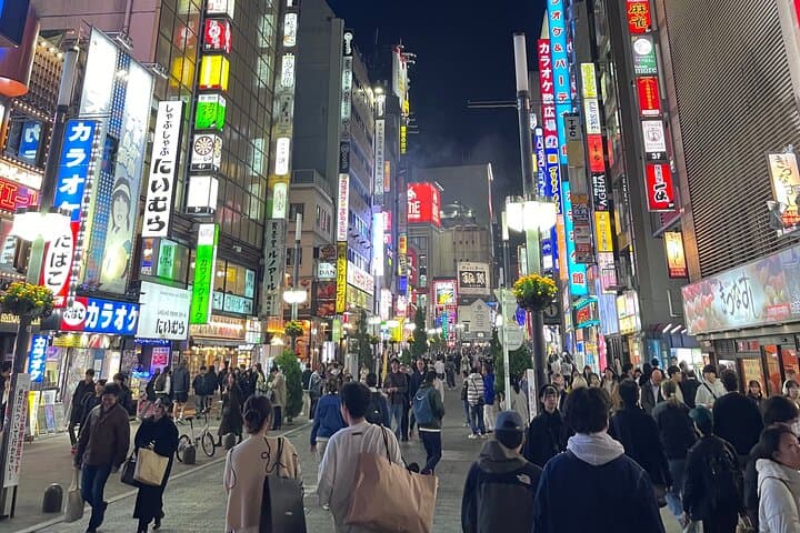 Tokyo Shinjuku: History, Culture & Hidden Alleys Walking Tour — photo 10