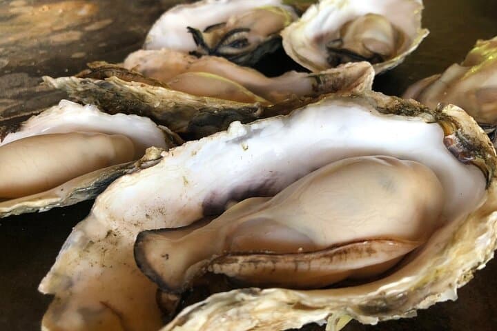 [Oysters in Suto] Let's go to Cape Kamui, Oyster Hut and Fukidashi Park by private car!To/from Sapporo — photo 2