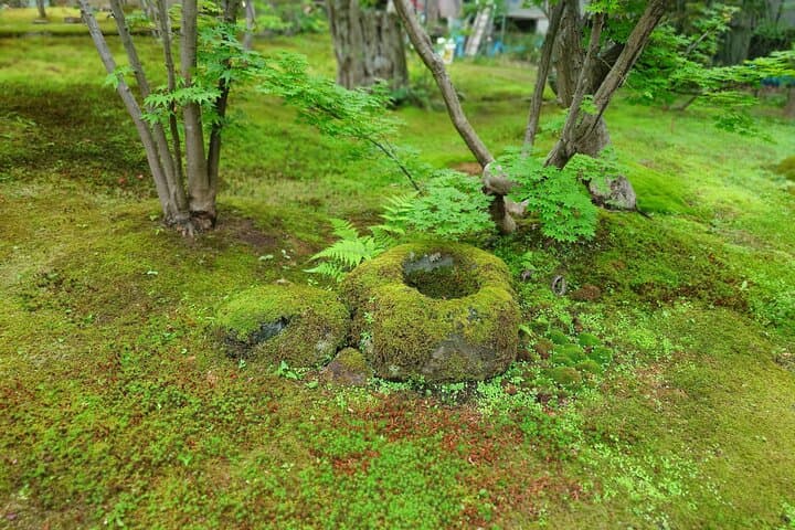 Day Trip Iiyama in Nagano Temple and Sake Brewery from Tokyo — photo 10