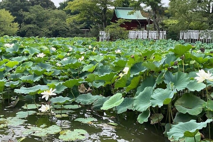 Kamakura excursion from Tokyo — photo 11