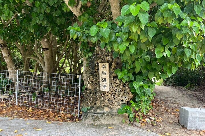 Okinawa Snorkeling Tour Experience — photo 3