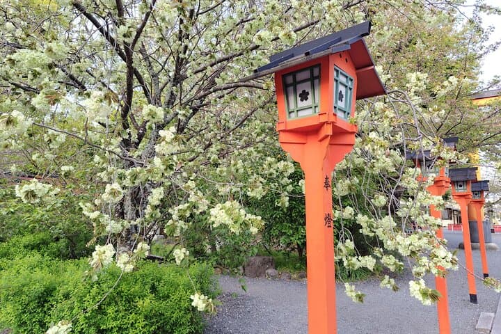 Private Customized Walking Tour in Kyoto — photo 11
