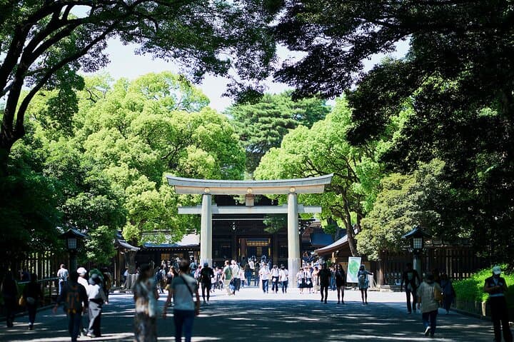 Tokyo: Meiji Shrine Walking Tour — Shintoism & Imperial System — photo 19