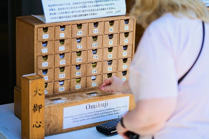 Tokyo: Meiji Shrine Walking Tour — Shintoism & Imperial System — photo 9