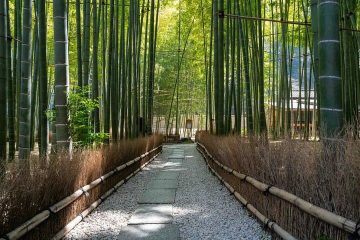 Kamakura Old Capital E-Bike Tour — photo 3