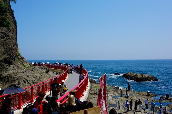 Enoshima Island Full-Day Private Tour from Tokyo (Customizable) — photo 1