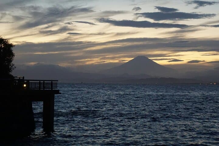 Enoshima Island Full-Day Private Tour from Tokyo (Customizable) — photo 7