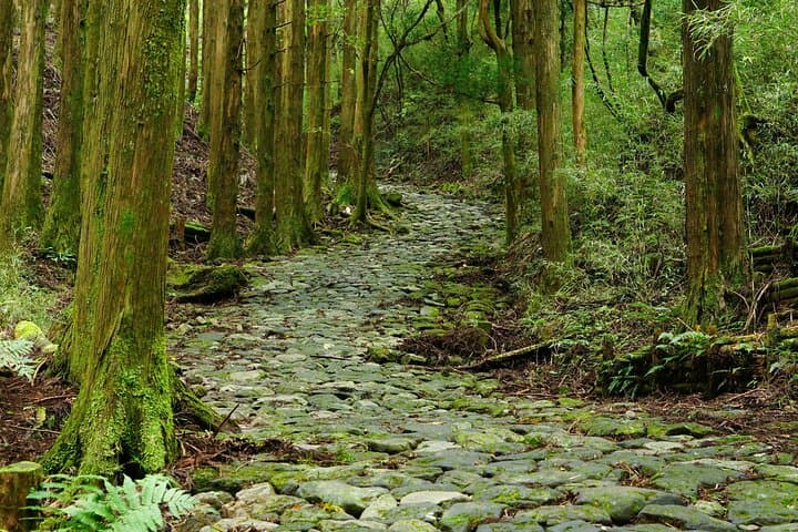Mount Fuji Japan Cycling Tour — photo 5
