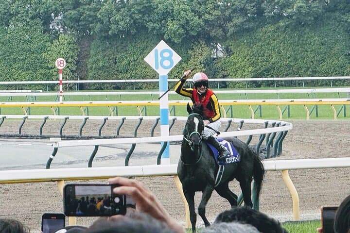 Horse Racing Tour with Local Fans in Tokyo Racecourse — photo 2