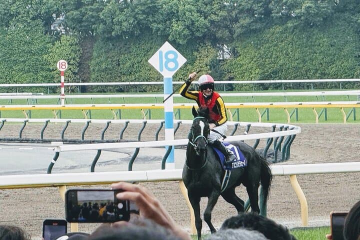 Horse Racing Tour with Local Fans in Tokyo, Oi Racecourse — photo 9