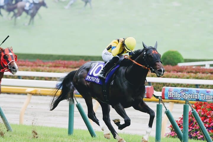 Horse Racing Tour with Local Fans in Tokyo, Oi Racecourse — photo 8