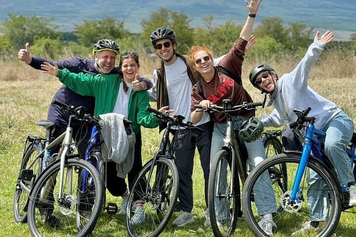 Mt. Fuji Countryside & Lake E-Bike Tour Ride — photo 5