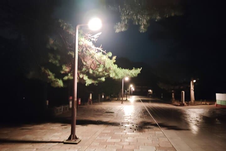 Nara: Discover Timeless Beauty in a Peaceful Night Stroll — photo 3