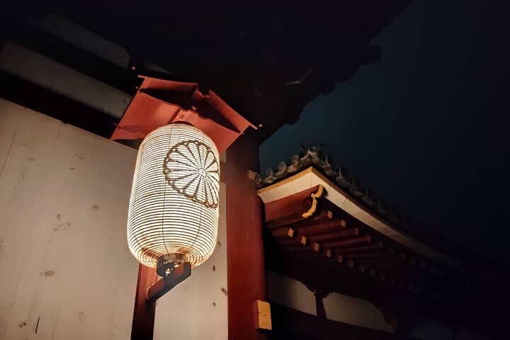 Nara: Discover Timeless Beauty in a Peaceful Night Stroll — photo 5