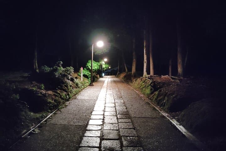 Nara: Discover Timeless Beauty in a Peaceful Night Stroll — photo 6
