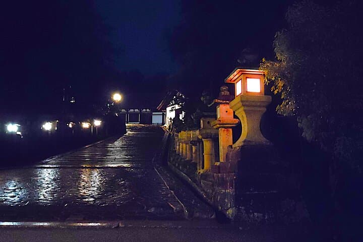 Nara: Discover Timeless Beauty in a Peaceful Night Stroll — photo 7