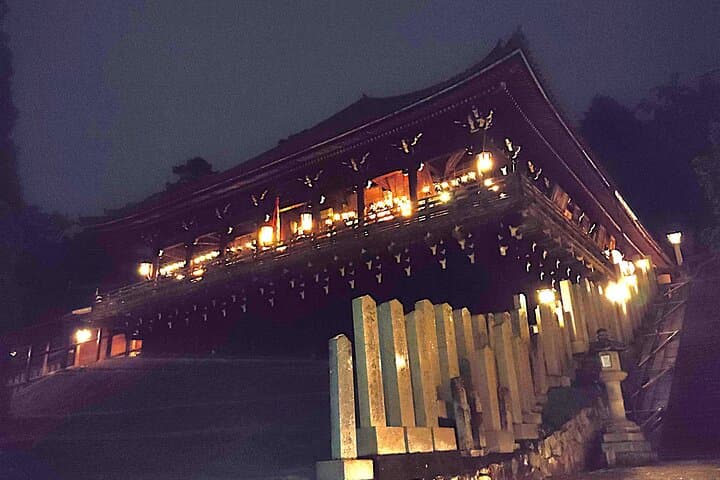 Nara: Discover Timeless Beauty in a Peaceful Night Stroll — photo 8