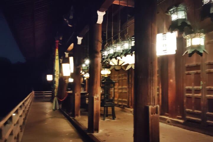 Nara: Discover Timeless Beauty in a Peaceful Night Stroll — photo 19