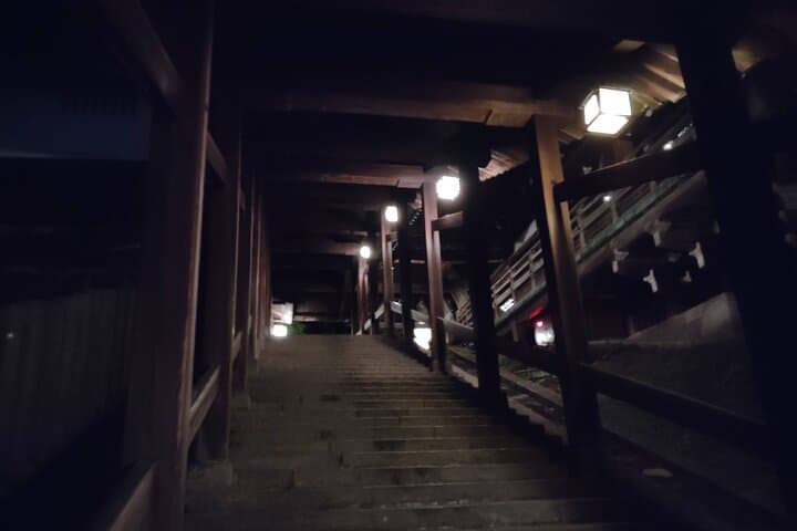 Nara: Discover Timeless Beauty in a Peaceful Night Stroll — photo 16