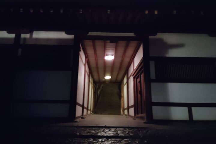 Nara: Discover Timeless Beauty in a Peaceful Night Stroll — photo 17