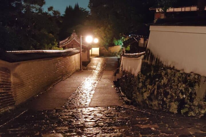 Nara: Discover Timeless Beauty in a Peaceful Night Stroll — photo 18