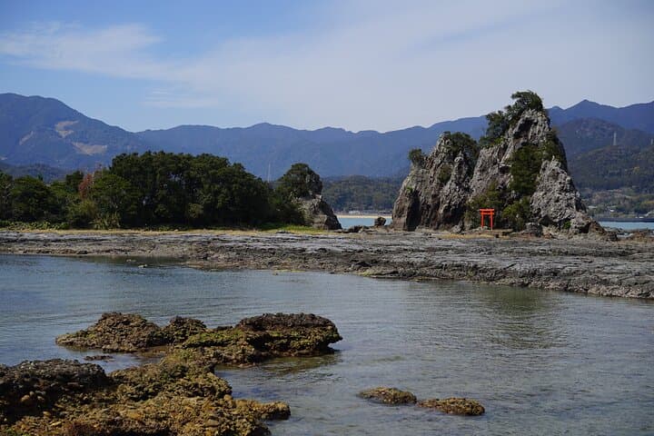 Cuisine of Nachikatsuura and Kumano — photo 8