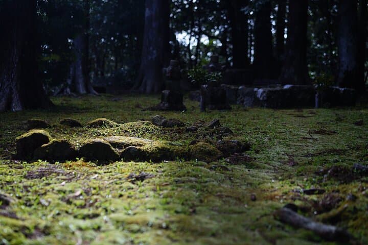 Cuisine of Nachikatsuura and Kumano — photo 9