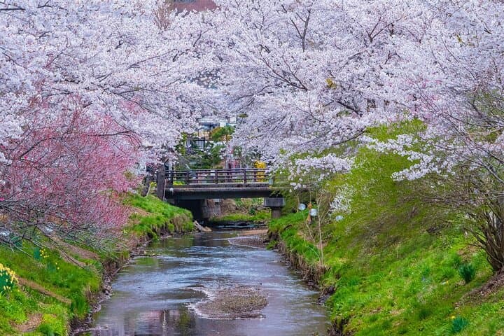 Mt Fuji and Hakone Day Trip from Tokyo with Ropeway Experience — photo 4