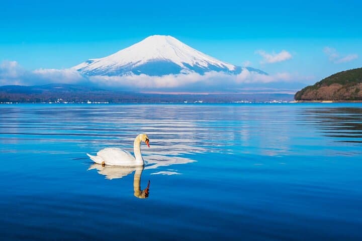 Mt Fuji and Hakone Day Trip from Tokyo with Ropeway Experience — photo 7