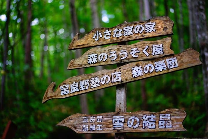 Hokkaido Biei Blue Pond Furano Flower Farm Ningle Terrace Trip — photo 13