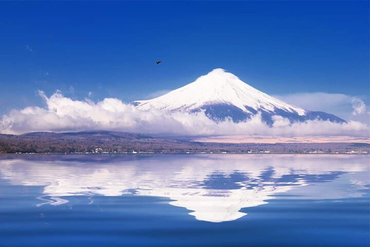 Mt Fuji and Hakone Day Trip from Tokyo with Ropeway Experience — photo 6