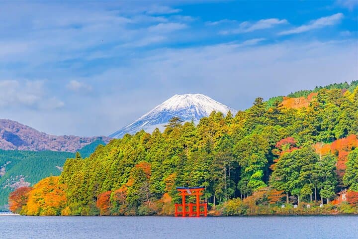 Mt Fuji and Hakone Day Trip from Tokyo with Ropeway Experience — photo 14