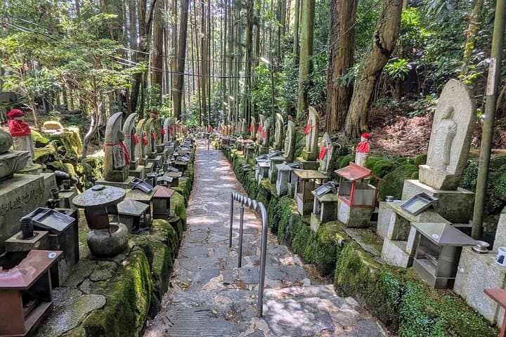 Private Full-Day Nara Tour Hozanji Temple Cable Car and Nara Park — photo 5