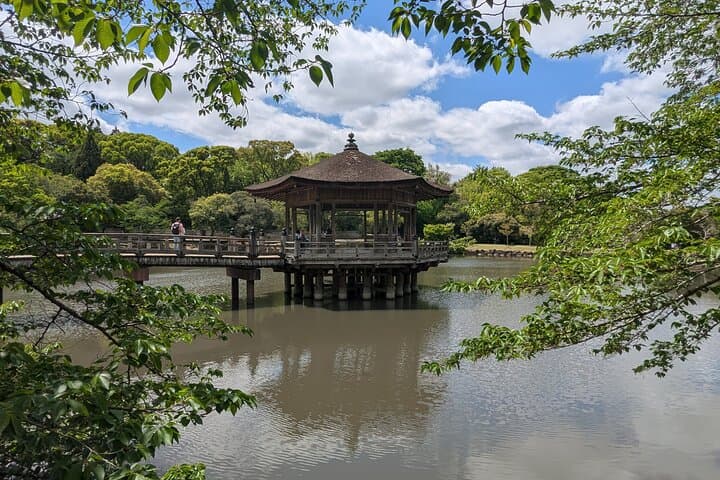 Private Full-Day Nara Tour Hozanji Temple Cable Car and Nara Park — photo 6