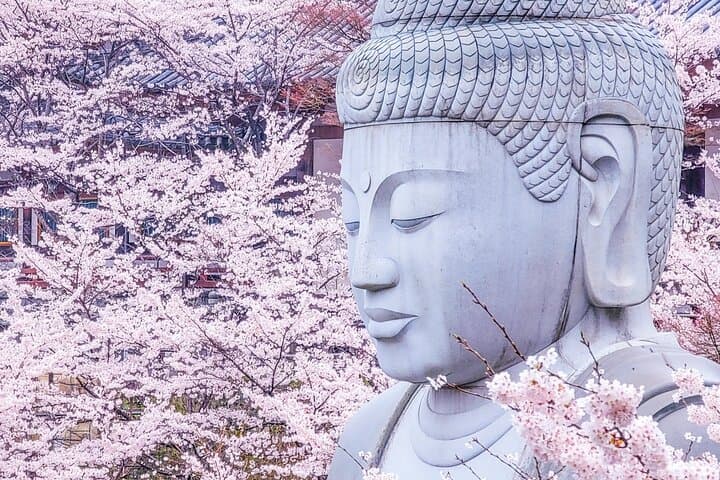 Nara: Discover a Giant Stone Buddha in the Forest Hills — photo 2