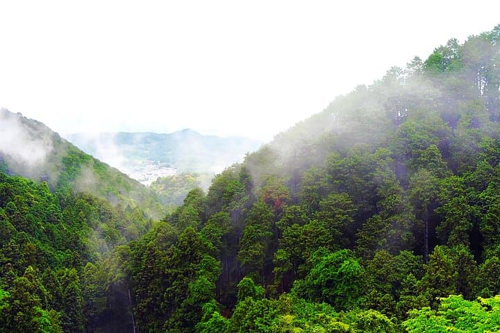 Nara: Discover a Giant Stone Buddha in the Forest Hills — photo 3