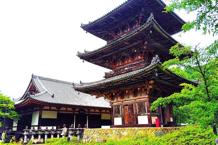 Nara: Discover a Giant Stone Buddha in the Forest Hills — photo 4