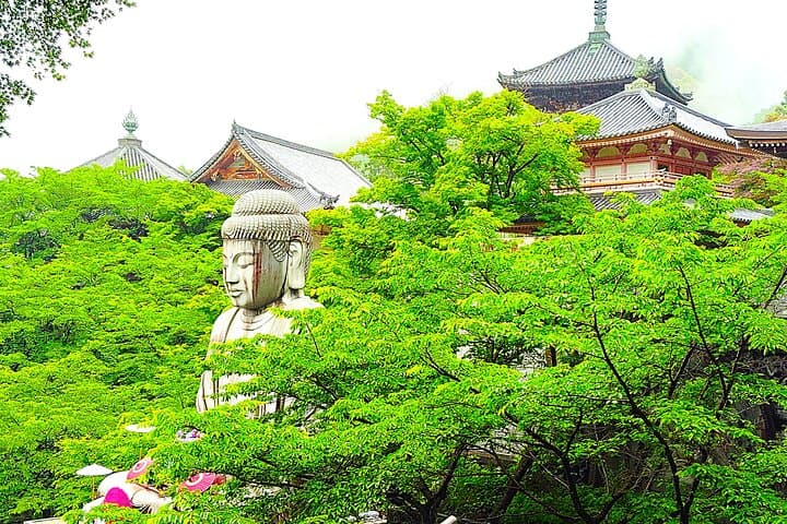 Nara: Discover a Giant Stone Buddha in the Forest Hills — photo 15