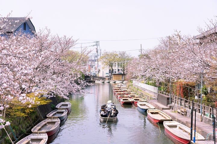 Fukuoka Private Rail and Walking Tour in Yanagawa — photo 14