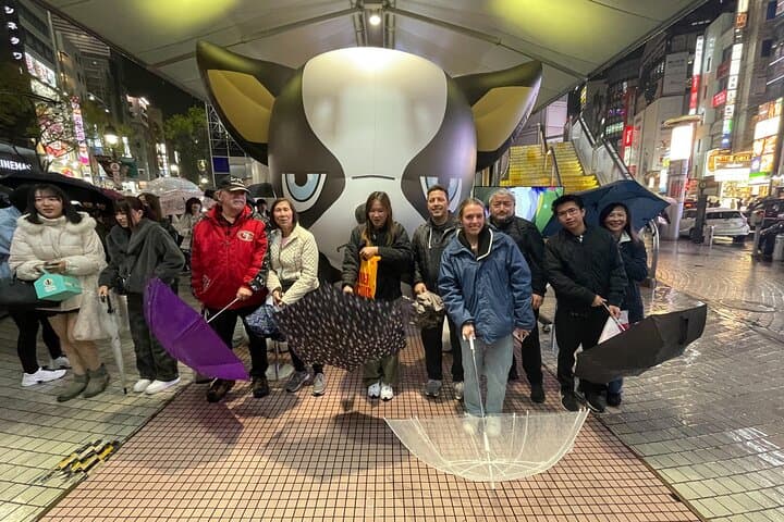 Customizable Tokyo Tour In Hidden Gems with a Local Expert — photo 2