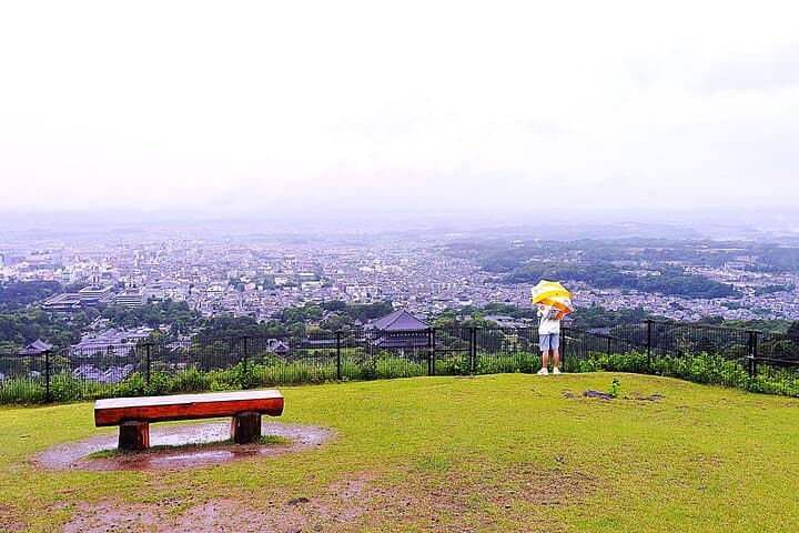 Nara: Hike Mt. Wakakusa and Encounter Wild, Free-Roaming Deer — photo 13