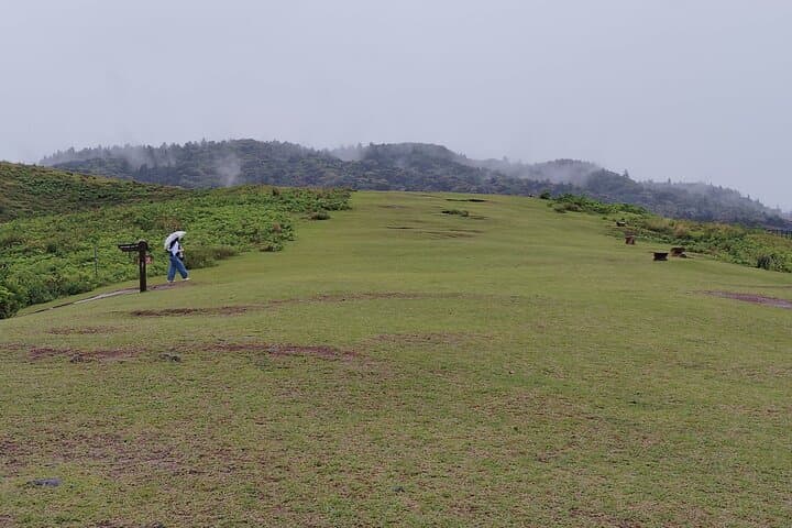 Nara: Hike Mt. Wakakusa and Encounter Wild, Free-Roaming Deer — photo 14