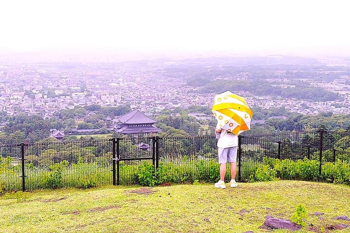 Nara: Hike Mt. Wakakusa and Encounter Wild, Free-Roaming Deer — photo 3