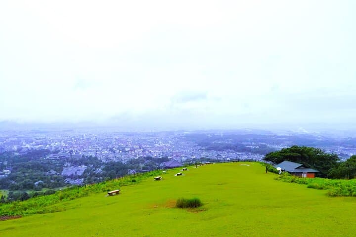 Nara: Hike Mt. Wakakusa and Encounter Wild, Free-Roaming Deer — photo 15
