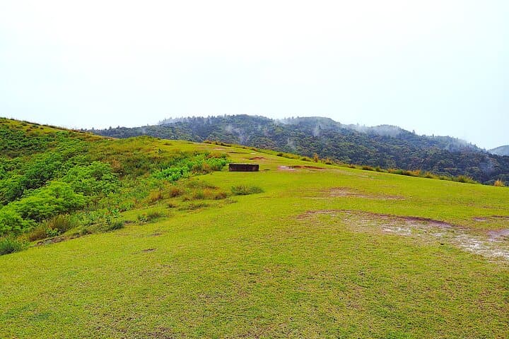 Nara: Hike Mt. Wakakusa and Encounter Wild, Free-Roaming Deer — photo 16