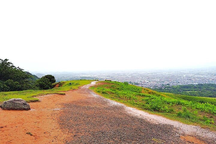 Nara: Hike Mt. Wakakusa and Encounter Wild, Free-Roaming Deer — photo 18
